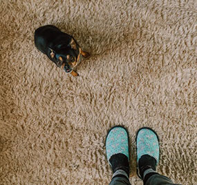 Bhadohi Rug Overseas